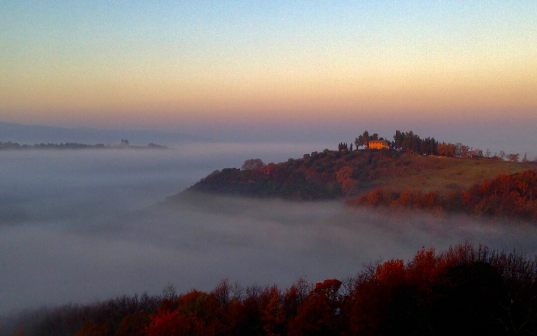 How Riparbella Chose Us