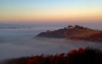 How Riparbella Chose Us